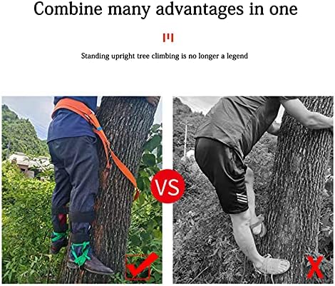 HOUBYU Ağaç tırmanma Sivri Tırmanma sivri kemer Paslanmaz çelik ayarlanabilir Tırmanma koşum ağaç tırmanma dişli ve