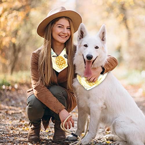 2 Paket Köpek Bandana Yıkanabilir Kare Köpek Eşarp Fular Köpek Önlükler Kız ve Erkek için Sarı Yeşil Ananas Şeker