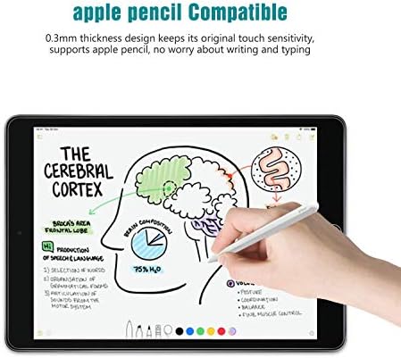 [3 Paket] Yeni iPad 9. Nesil 10.2 inç 2021 için Ekran Koruyucu,iPad 8./7. Nesil 10.2 inç, Apple Pencil ile Uyumlu