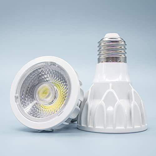 LEDHOLYT Par20 LED Spot Ampul, 2 Adet 12 W Kısılabilir Enerji Tasarrufu projektör, E26 Orta Vidalı Taban ışın Açısı