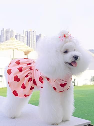 QWİNEE Kalp Baskı Köpek Elbiseler ile Yay Dekor Saç Kravat, Tatlı Köpek Etek Kedi Elbise, doğum Günü Düğün Parti için