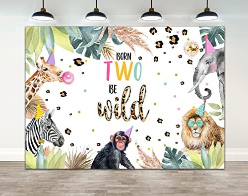 Ticuenicoa 7×5ft İki Vahşi Zemin Kız Jungle Safari Hayvanlar 2nd Doğum Günü Partisi Dekorasyon Doğan İki Vahşi Çiçek